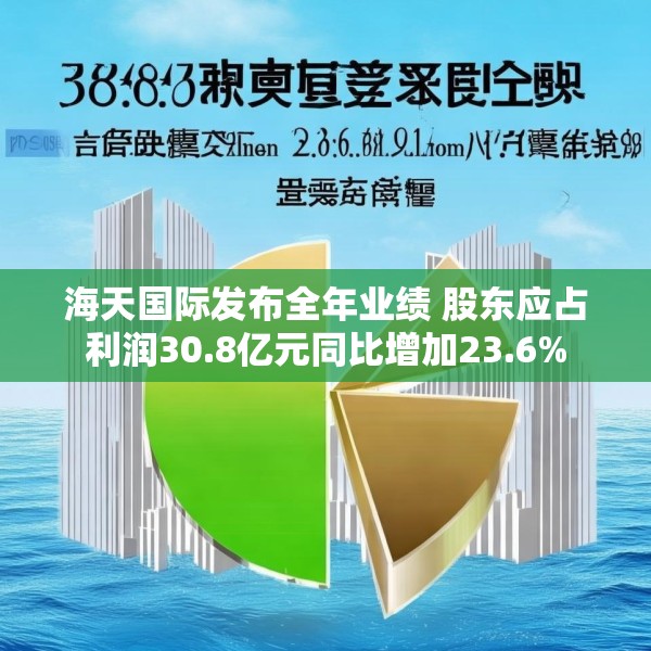 海天国际发布全年业绩 股东应占利润30.8亿元同比增加23.6%