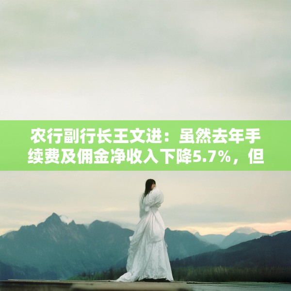 农行副行长王文进：虽然去年手续费及佣金净收入下降5.7%，但较前三个季度有所收窄