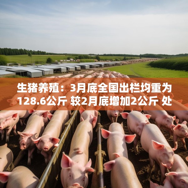 生猪养殖：3月底全国出栏均重为128.6公斤 较2月底增加2公斤 处于2022年以来的最高水平