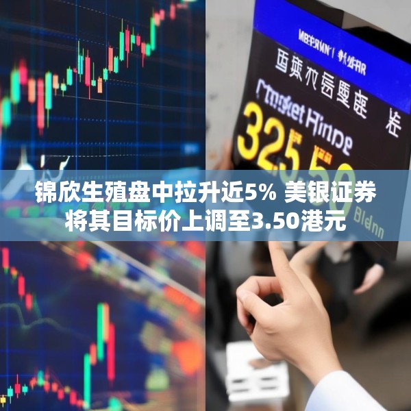锦欣生殖盘中拉升近5% 美银证券将其目标价上调至3.50港元