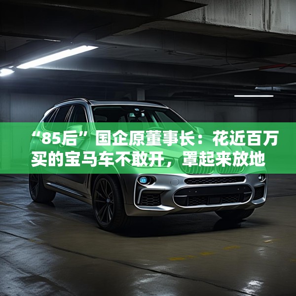 “85后”国企原董事长：花近百万买的宝马车不敢开，罩起来放地下室