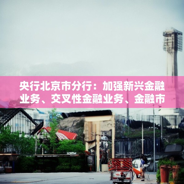 2025年4月10日 第8页