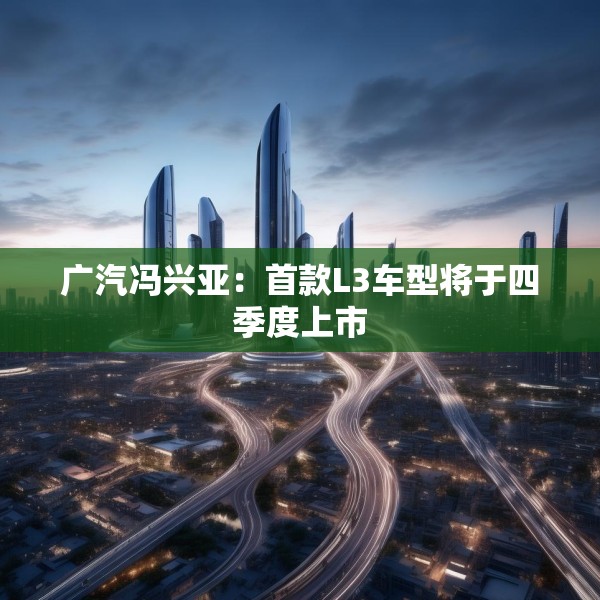 广汽冯兴亚：首款L3车型将于四季度上市