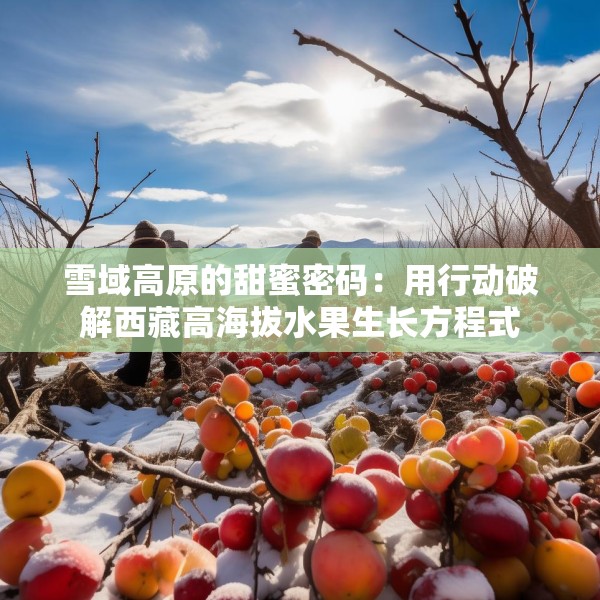 雪域高原的甜蜜密码：用行动破解西藏高海拔水果生长方程式