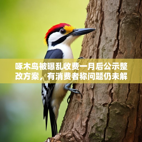 啄木鸟被曝乱收费一月后公示整改方案，有消费者称问题仍未解决
