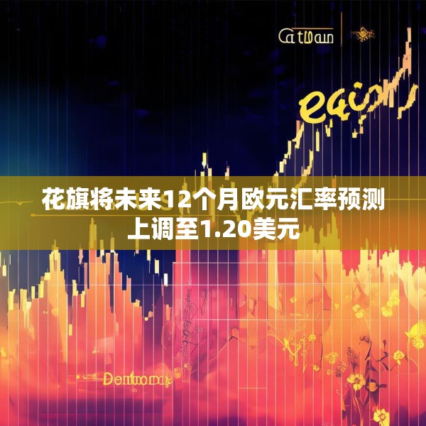 花旗将未来12个月欧元汇率预测上调至1.20美元