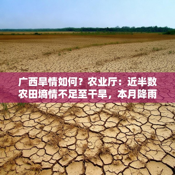 广西旱情如何？农业厅：近半数农田墒情不足至干旱，本月降雨将渐增
