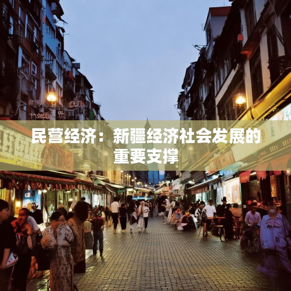 民营经济：新疆经济社会发展的重要支撑