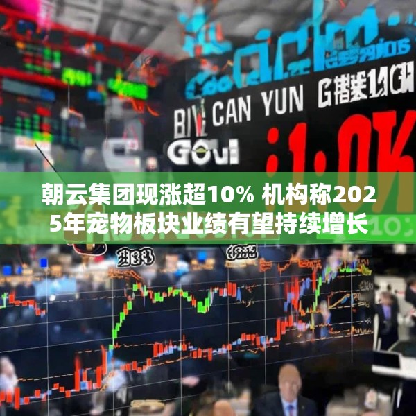 朝云集团现涨超10% 机构称2025年宠物板块业绩有望持续增长