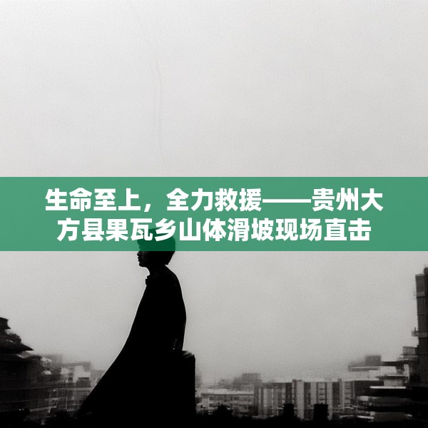 生命至上，全力救援——贵州大方县果瓦乡山体滑坡现场直击