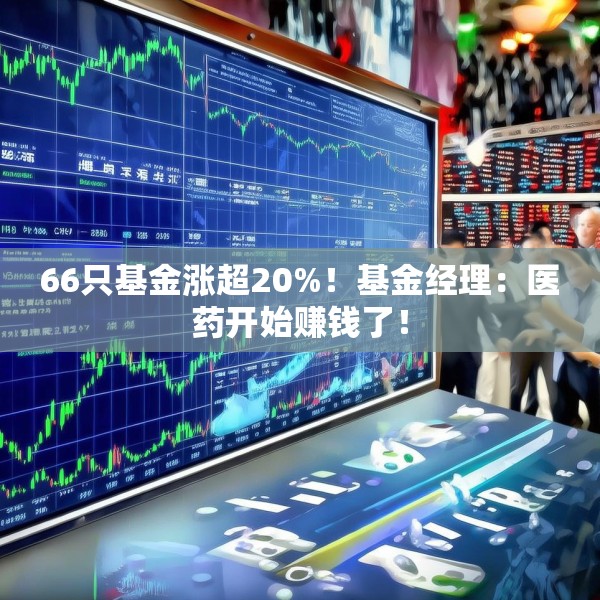 66只基金涨超20%！基金经理：医药开始赚钱了！