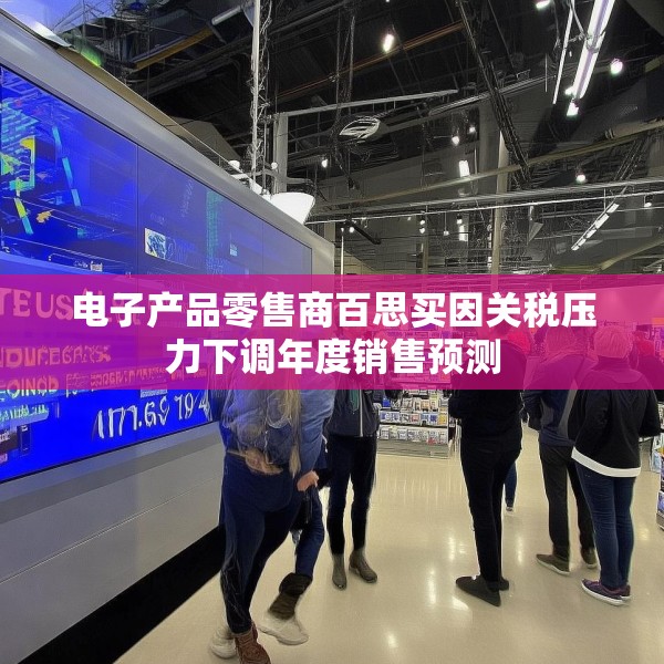 电子产品零售商百思买因关税压力下调年度销售预测