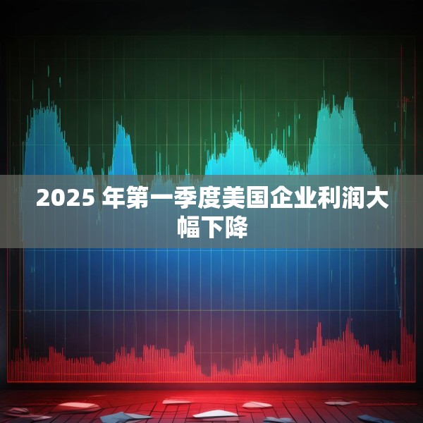 2025 年第一季度美国企业利润大幅下降