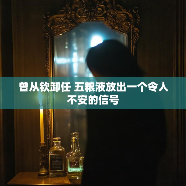 曾从钦卸任 五粮液放出一个令人不安的信号