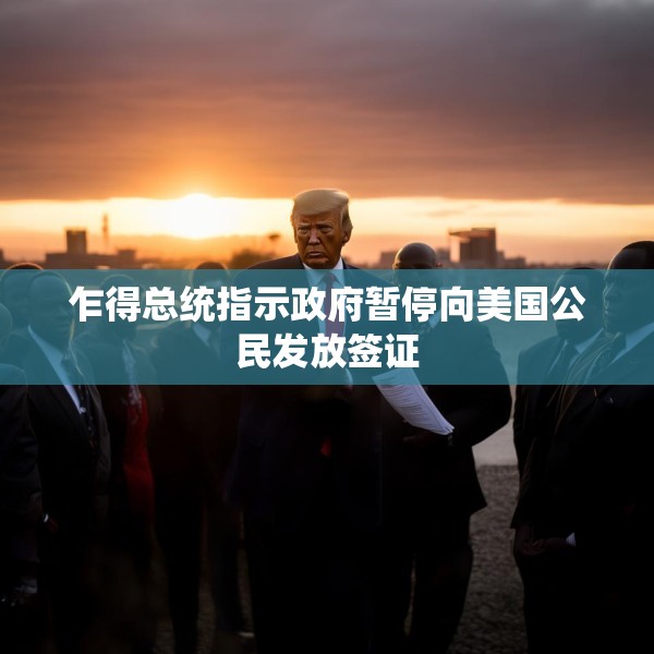 乍得总统指示政府暂停向美国公民发放签证