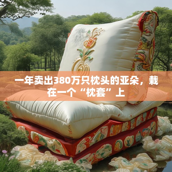 一年卖出380万只枕头的亚朵，栽在一个“枕套”上