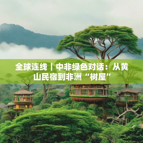 全球连线｜中非绿色对话：从黄山民宿到非洲“树屋”