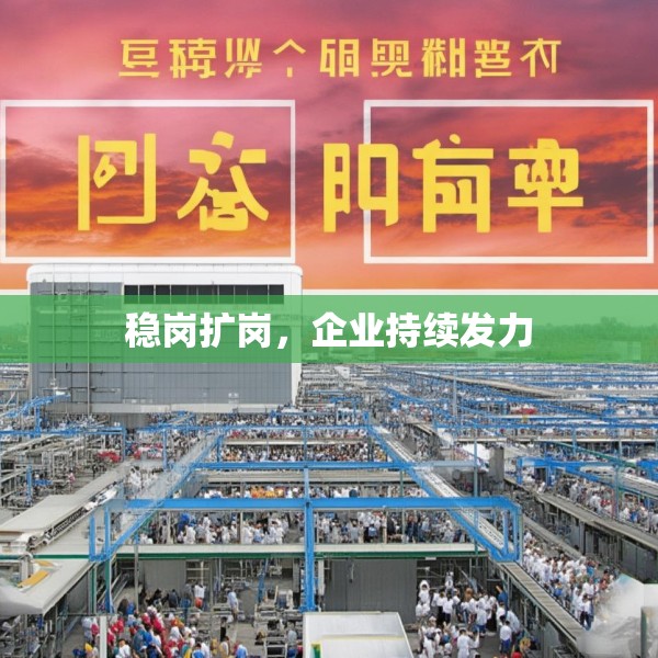 稳岗扩岗，企业持续发力