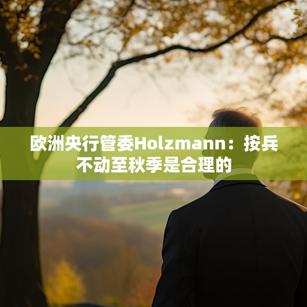 欧洲央行管委Holzmann：按兵不动至秋季是合理的